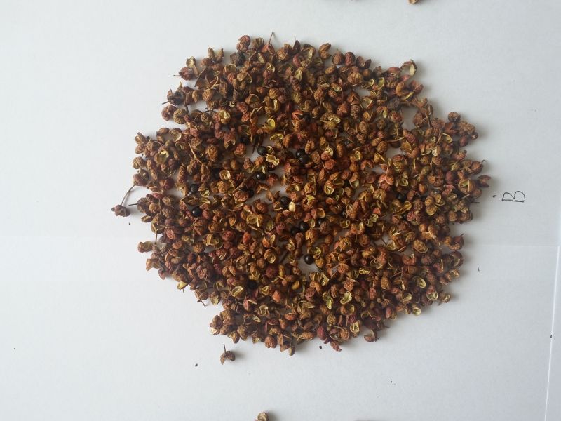 High quality Chinese szechuan pepper wholesale