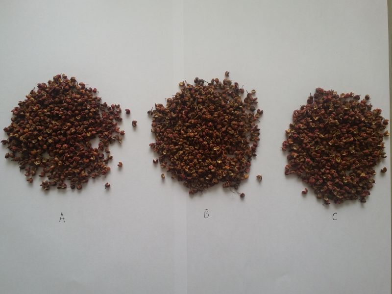 Chinese red Sichuan pepper