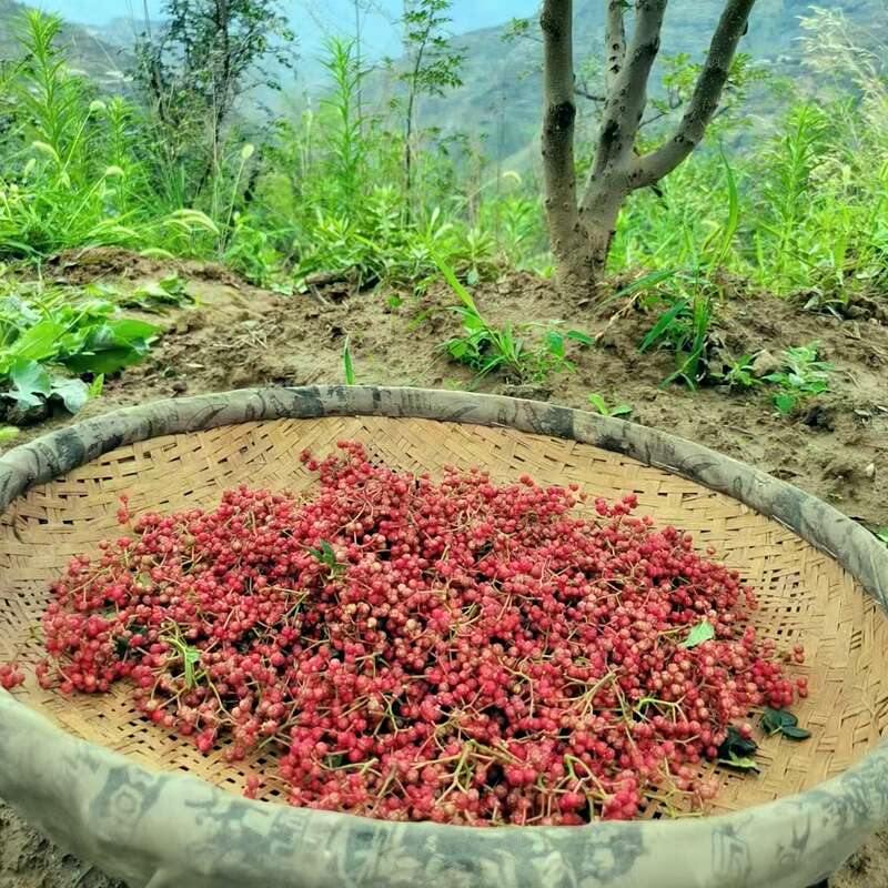 Dry-Sichuan-peppercorns.jpg