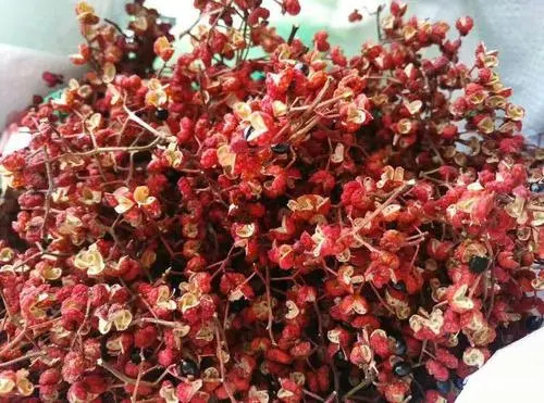 Small-red-Sichuan-peppercorns.jpg