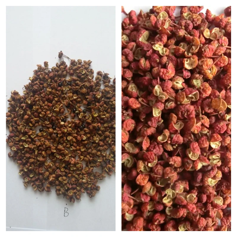 Prickly-Ash-vs-Sichuan-Pepper.webp