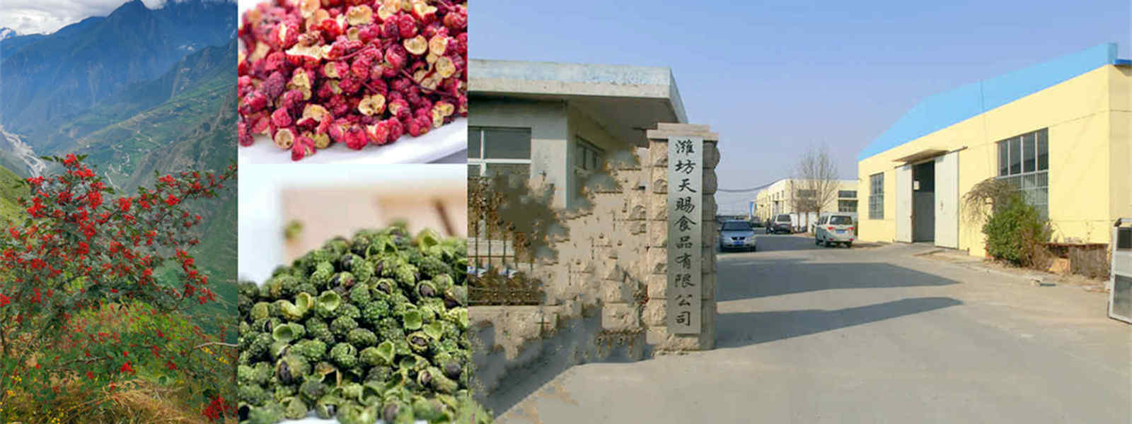 Welcome To Weifang Manna Foods Co.,Ltd