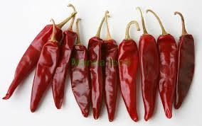 Dried hot red chilli