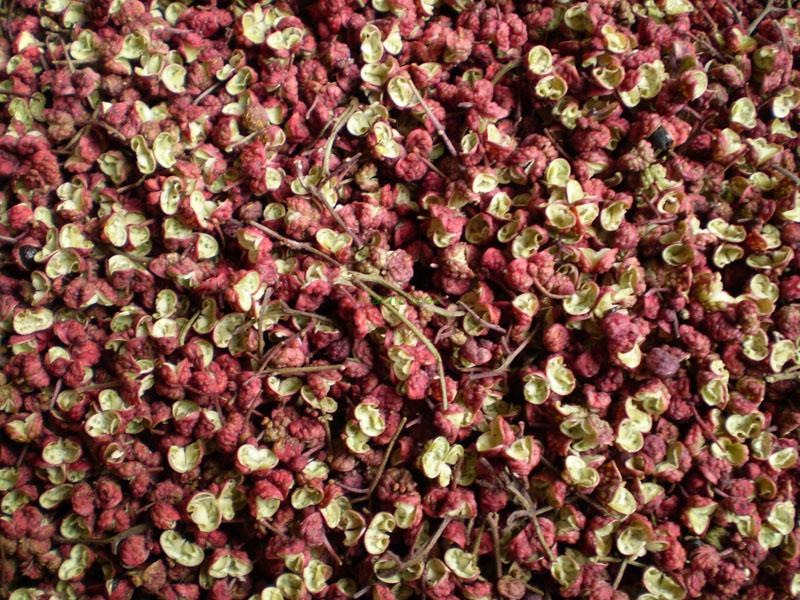 Dried Chinese prickly ash